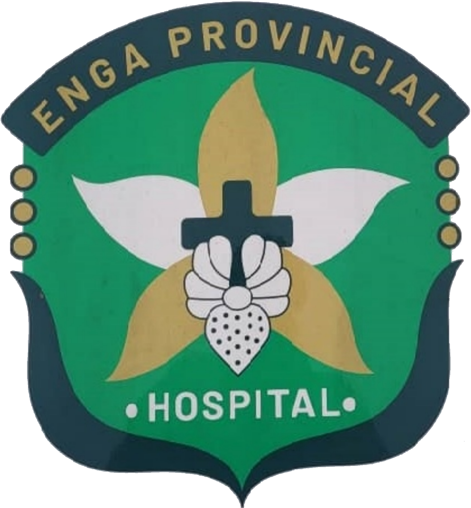 Hospital Logo